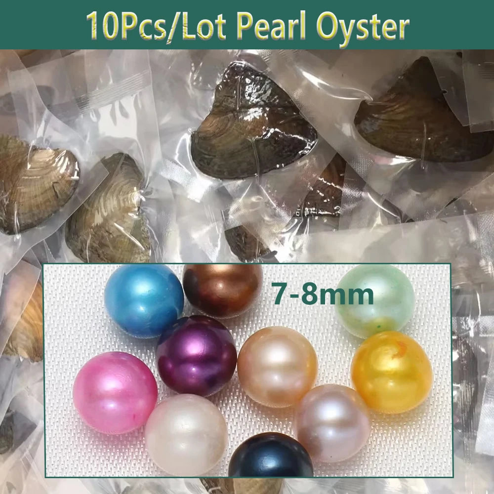 Vacuum packed oysters with pearls inside, Pearl Discovery Kit